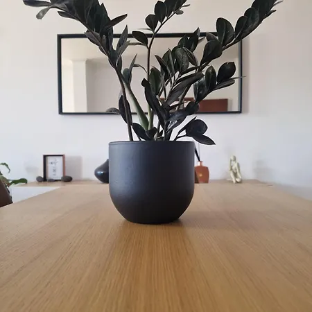 Bay View House By Mth