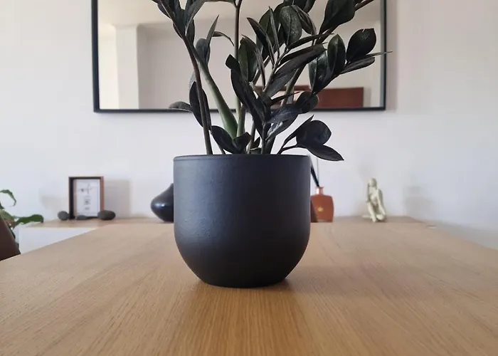 Bay View House By Mth